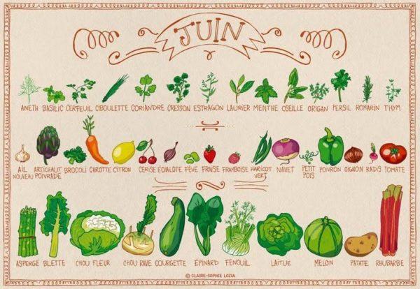 Calendrier de Juin pour les Fruits et Légumes